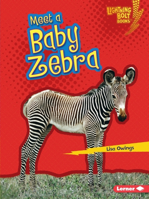 Title details for Meet a Baby Zebra by Lisa Owings - Available